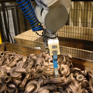 Cellule Alpha
